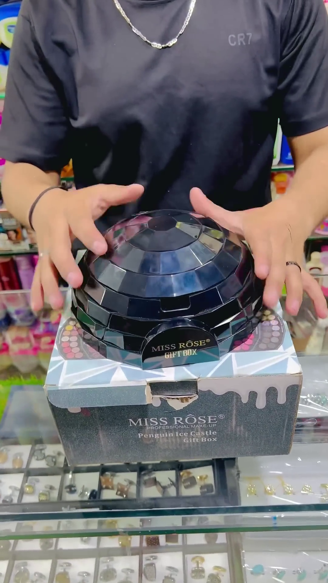 Miss Rose Penguin Ice Castle Makeup Kit - All-in-One Cosmetic Set with Eyeshadows, Lipsticks, Blushes, Highlighters, and Contours in a Stunning Compact Design for Complete Makeup Looks