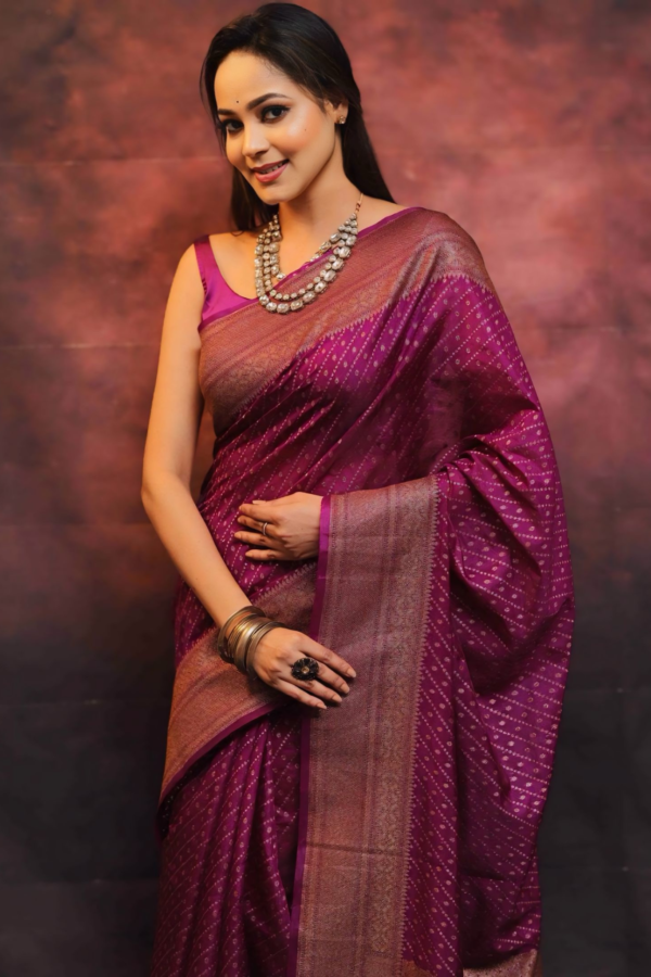 WOMEN CHIC AND COMFORTABLE LINED SAREE FOR EVERY OCCASION